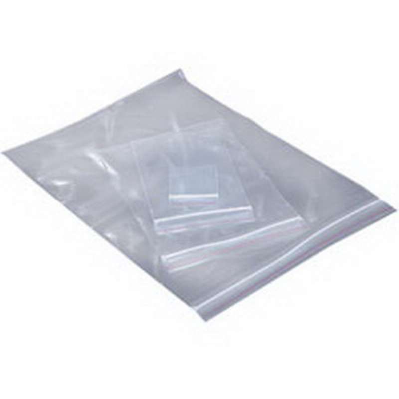 2in x 3in 2MIL ZIP TOP BAG, 1000 Bags per Case